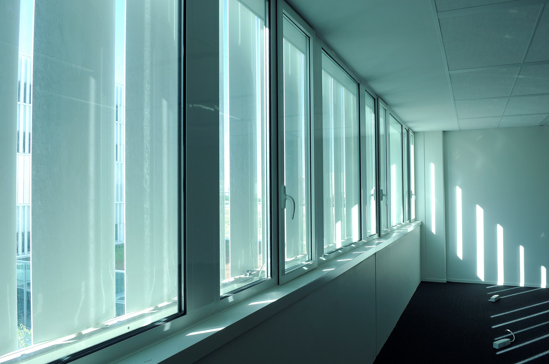 cap constellation (17) HOT FE.jpg