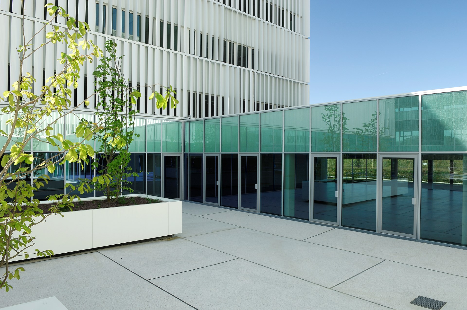 cap constellation (33).jpg