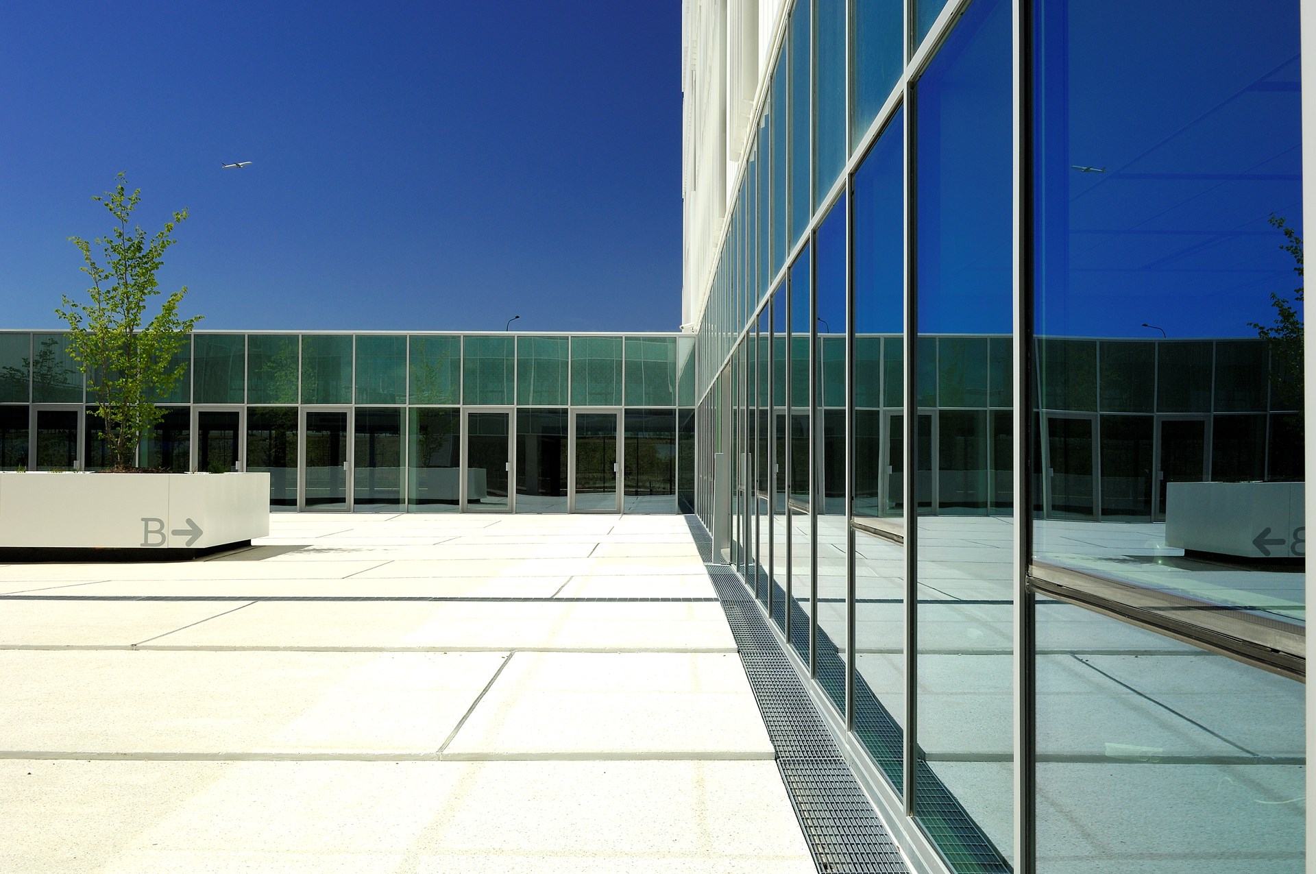 cap constellation (55) SS.jpg