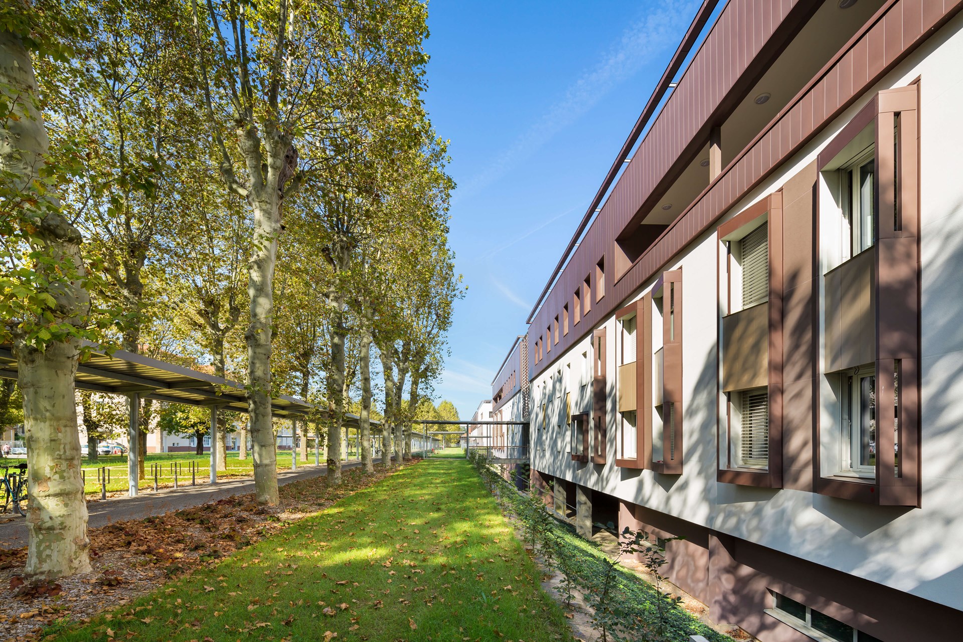 photo-sergio-grazia-MICHEL BEAUVAIS-hopital-lyon_IMP-07.jpg