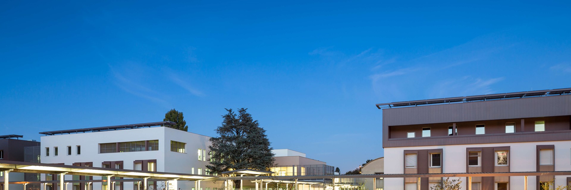 Centre Hospitalier Le Vinatier