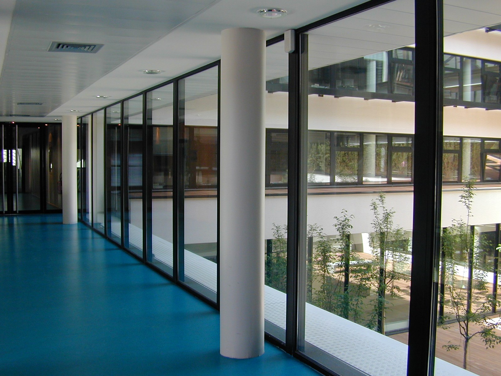 P5 - DSCN2251 (4).JPG