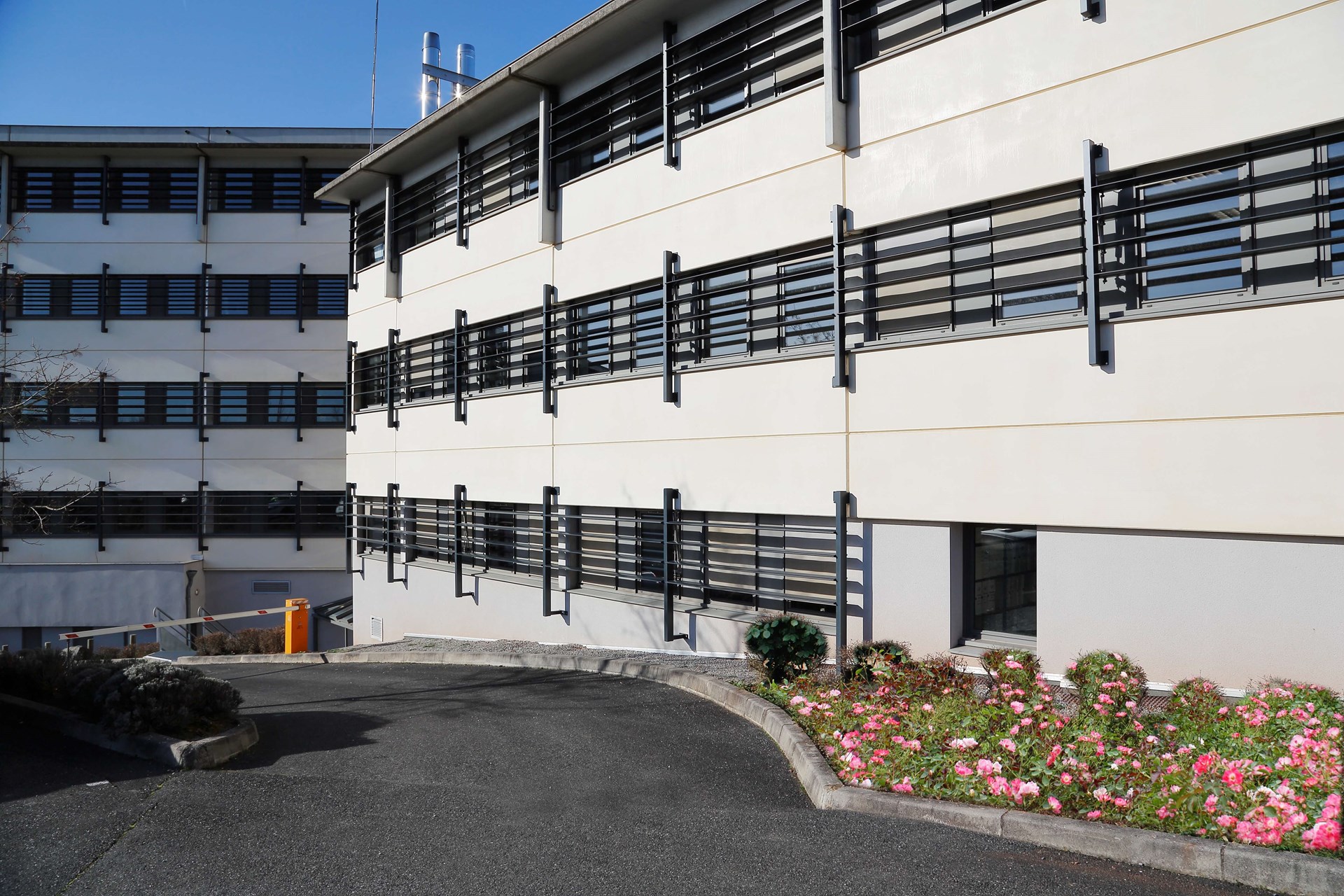 gal - DDT Rodez (26)(E-D) red.jpg