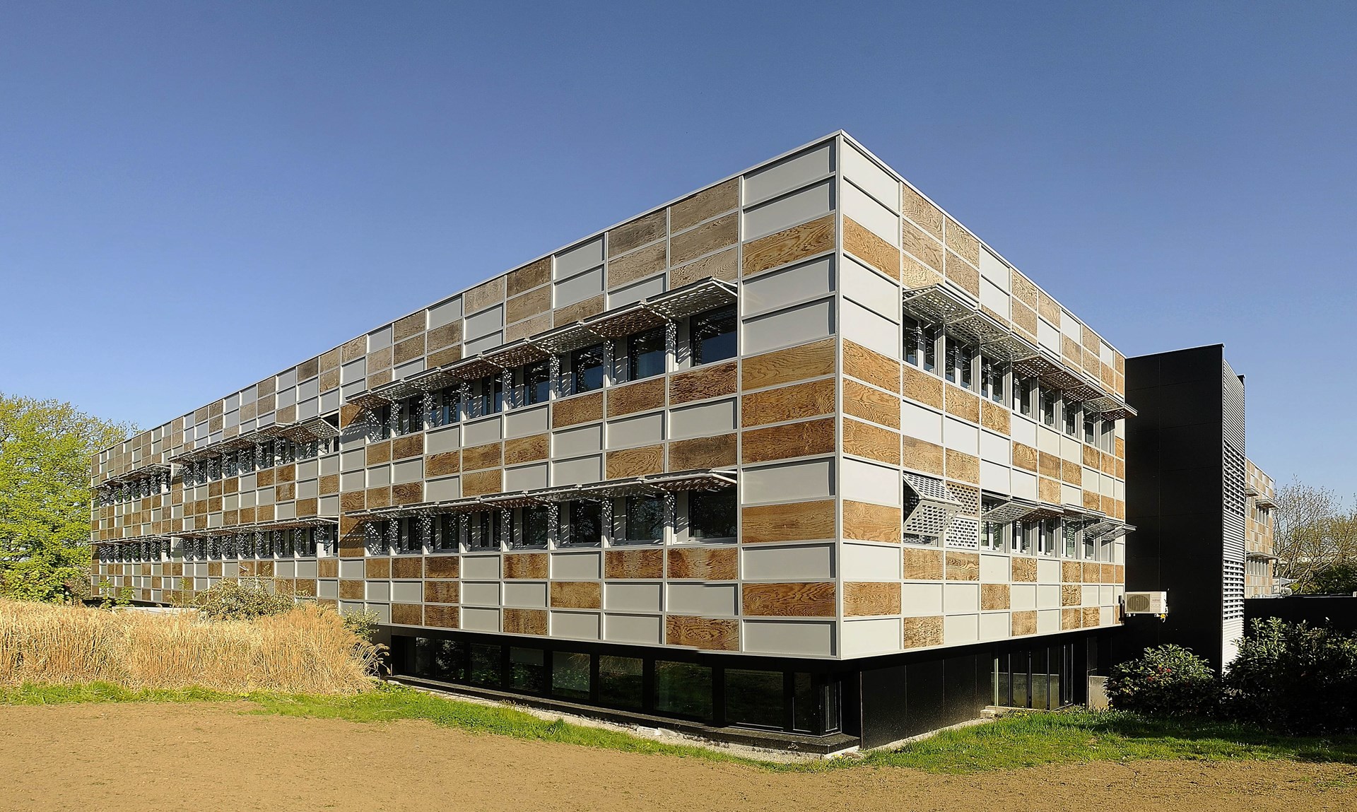 SS - DDTM 11 red.jpg