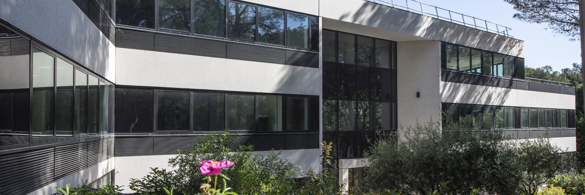 De Navigator à Ecoryzon