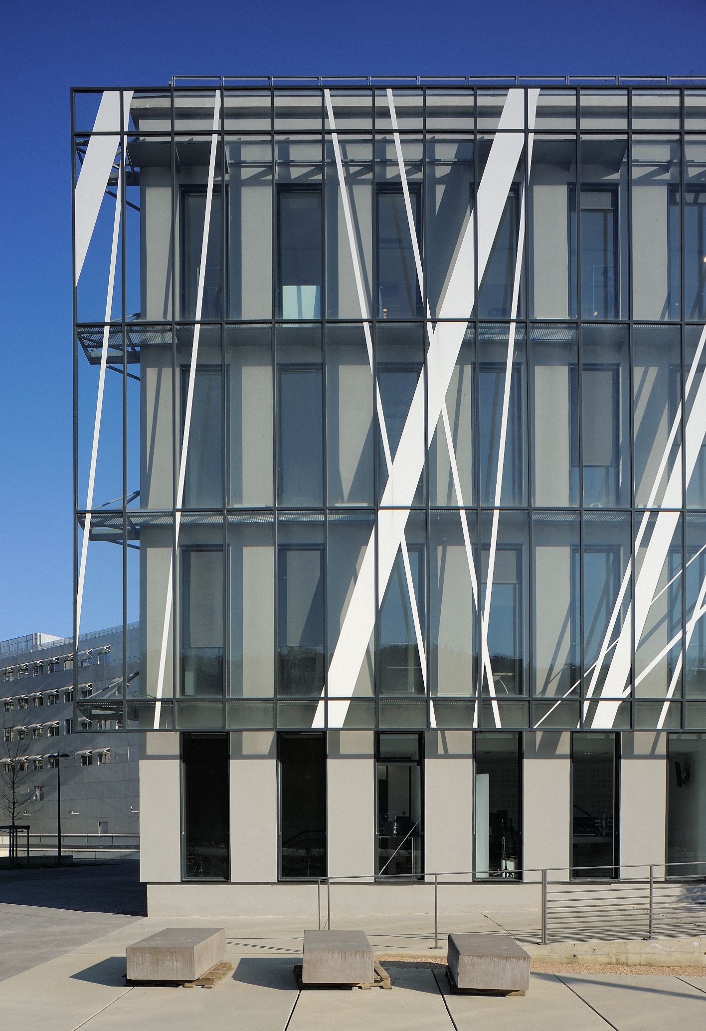 HS mr - ZZP_3152.jpg