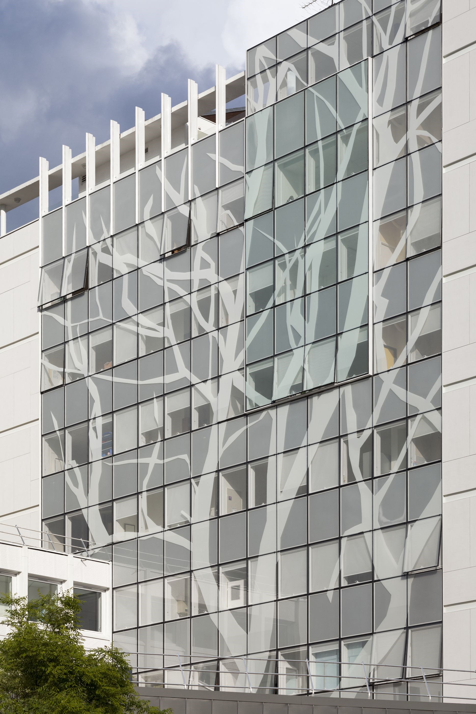 HS ita - sèvres-nBorel_022.jpg