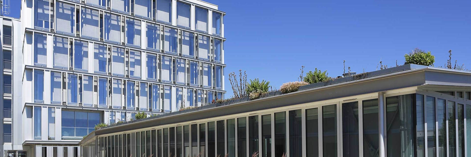 Logements et bureaux La Haluchère