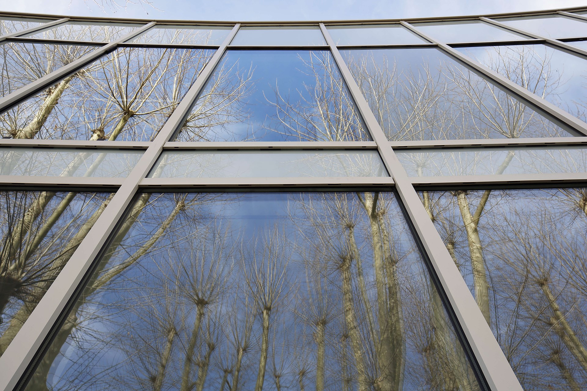 mediatheque Le Bouscat (19).jpg