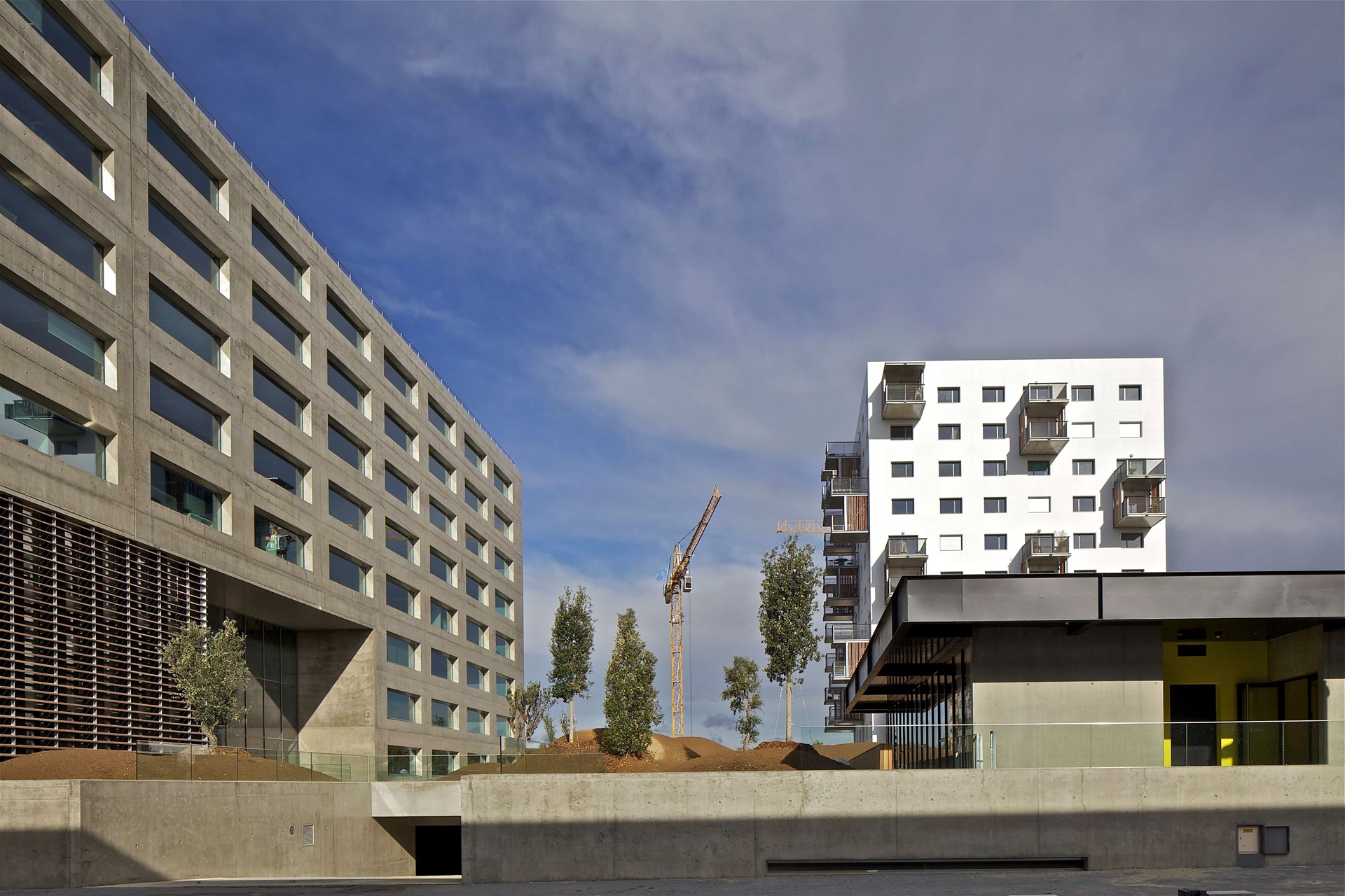 Matiere Grise Photo 09.jpg