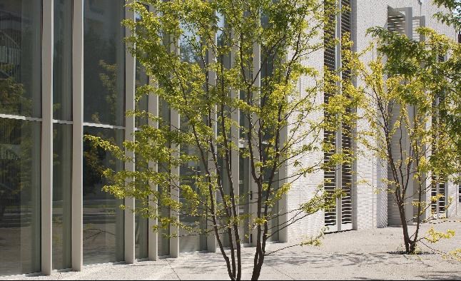 gallery_p3 - P5  - Atrium-Vichy-008a.JPG