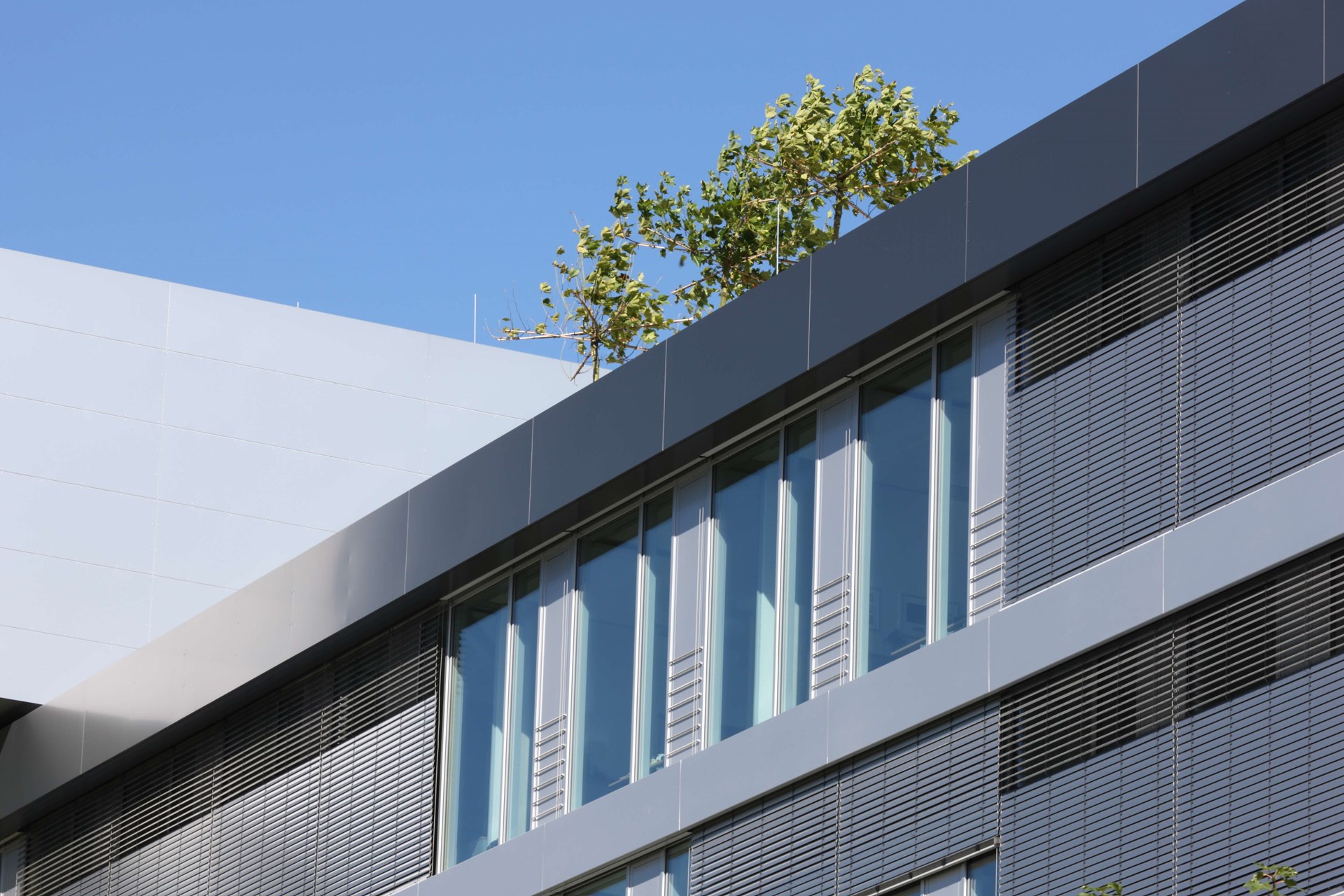 Dachser Kempten-0015.JPG