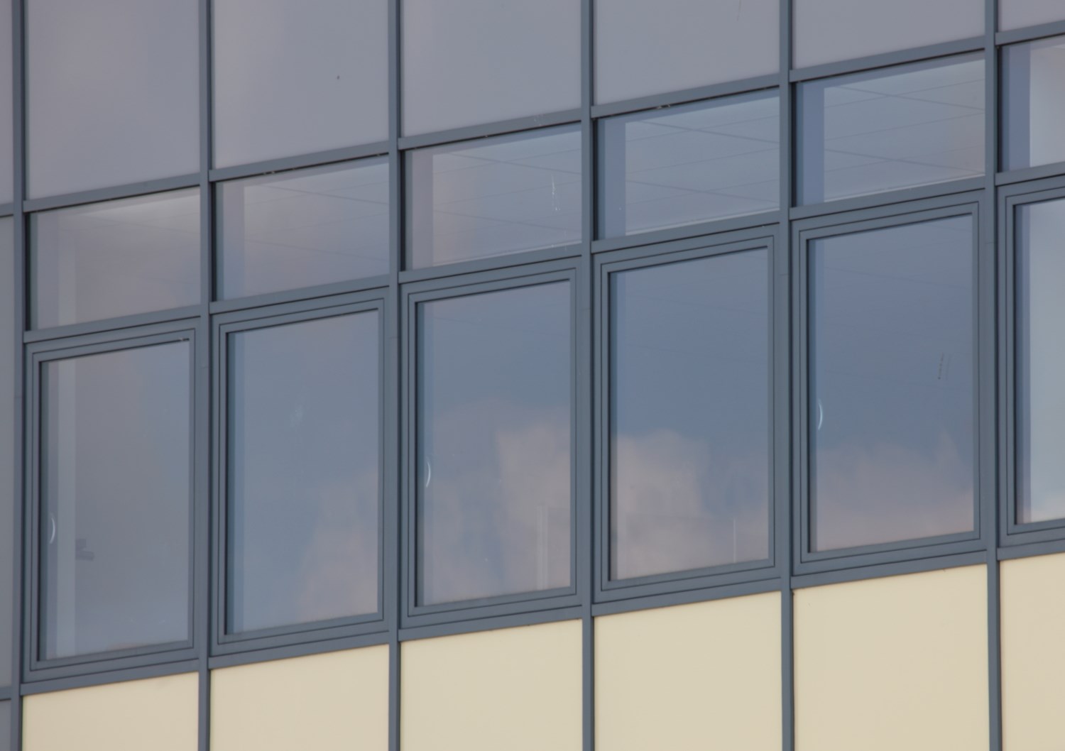 GYM LILIENTHAL_1J7X7617.JPG