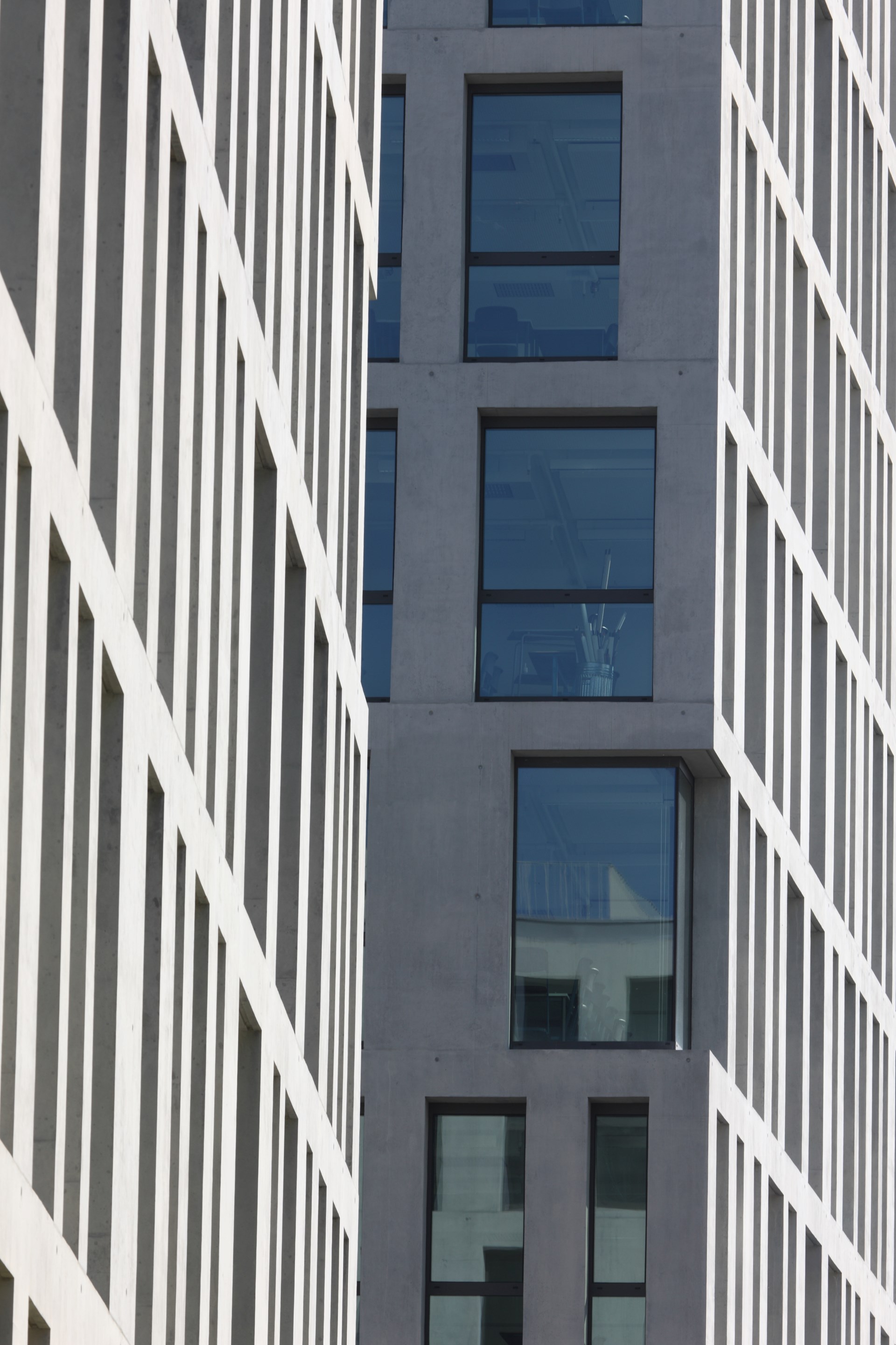 DOMINO BERN_1J7X1587.JPG