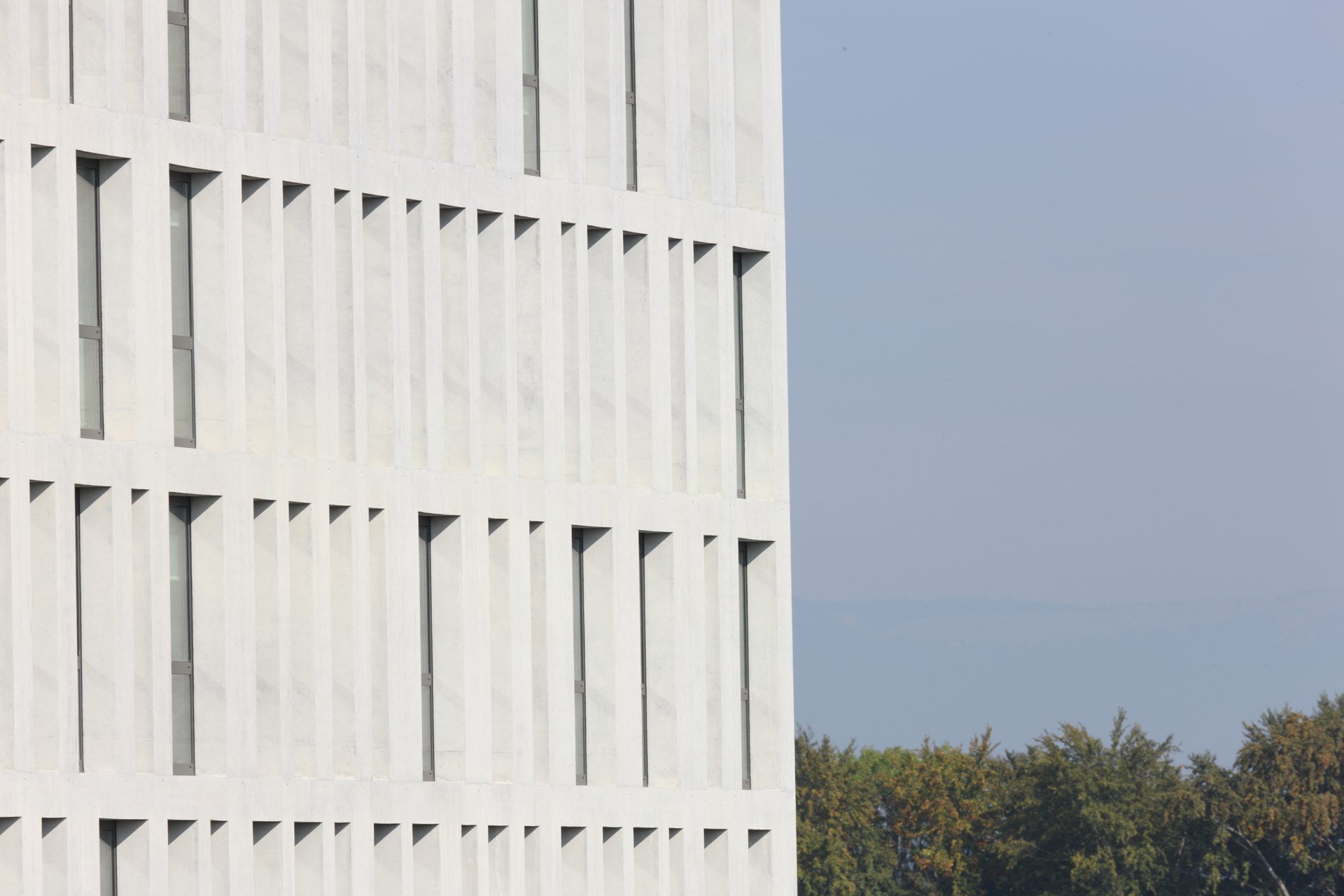 DOMINO BERN_1J7X1612.JPG