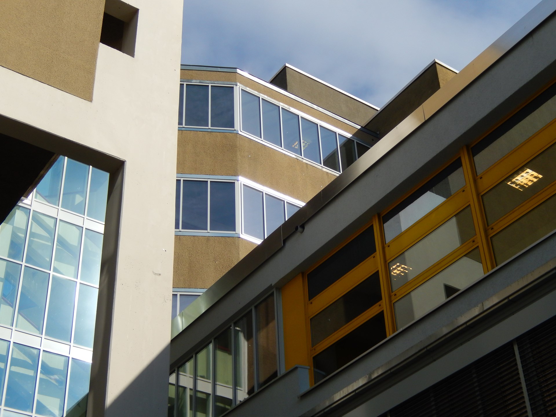 Thomas-Mann-Gymnasium