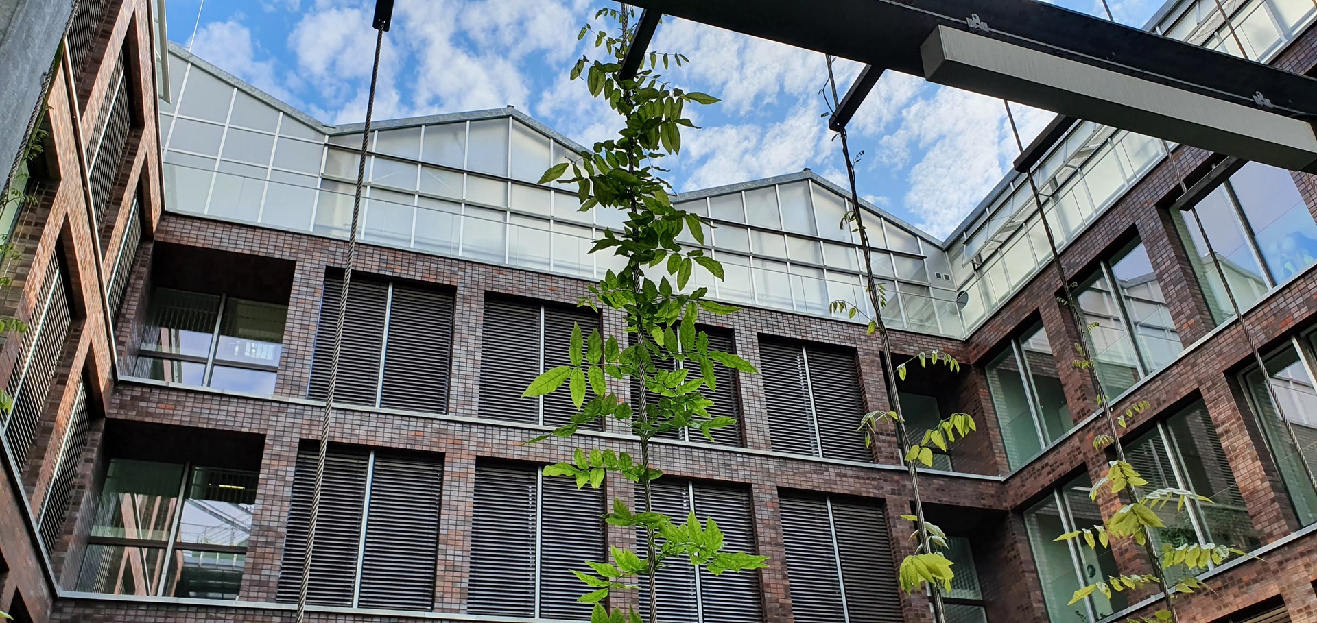 Rabensteiner_Altmarktgarten_Oberhausen (18).jpg