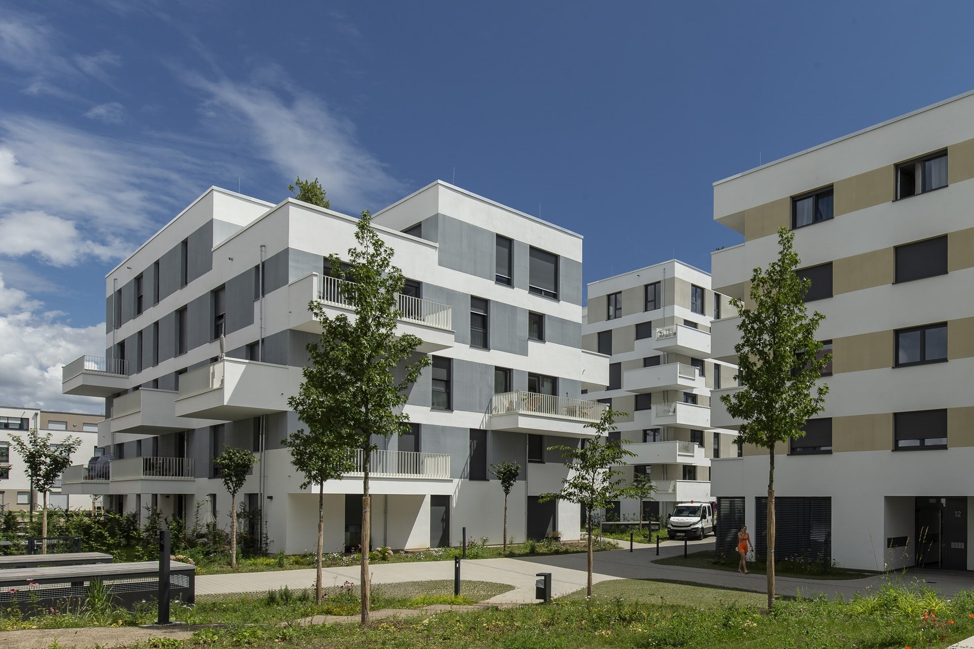 _DX_0566 Kopie-min.jpg