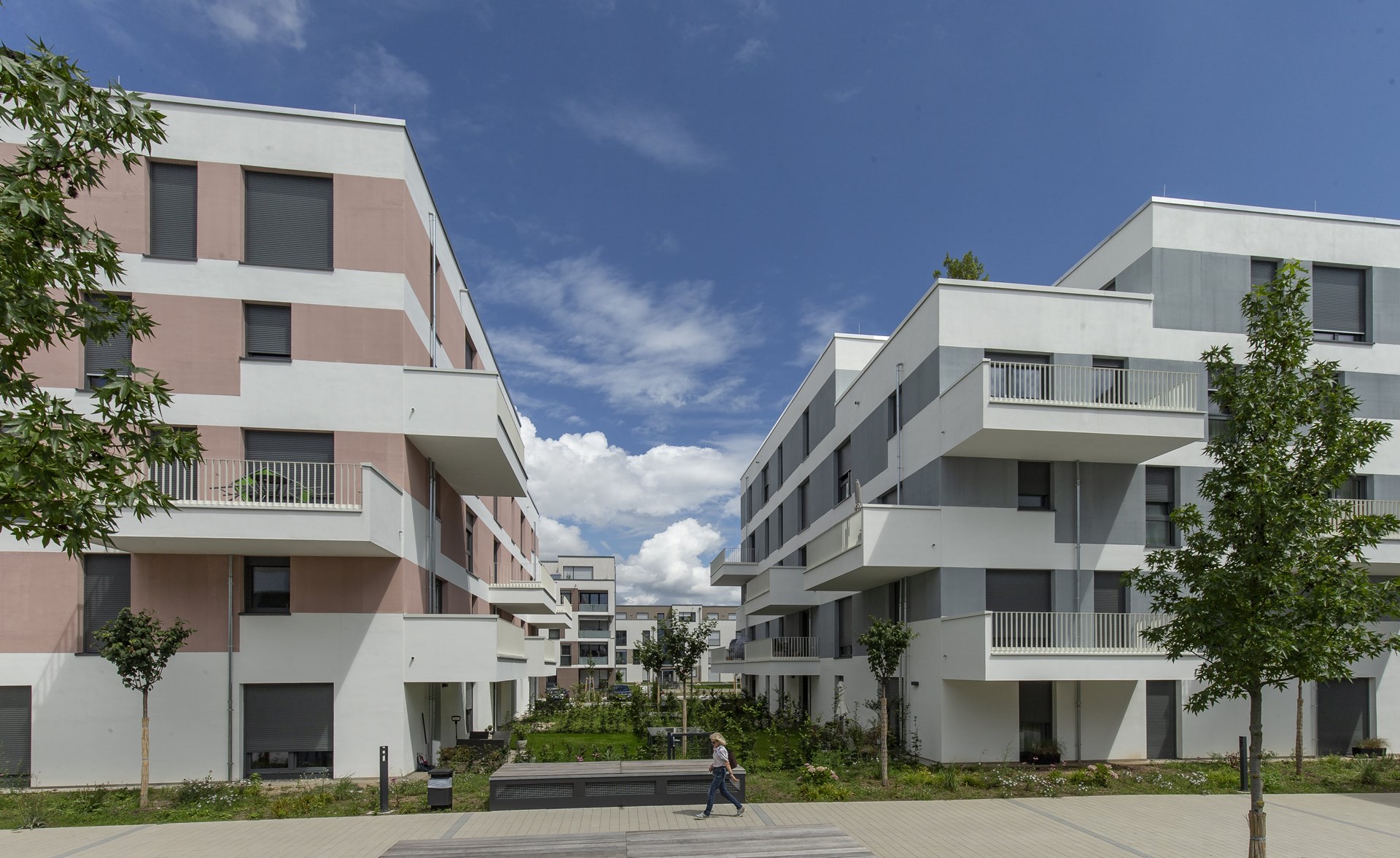 _DX_0579 Kopie-min.jpg