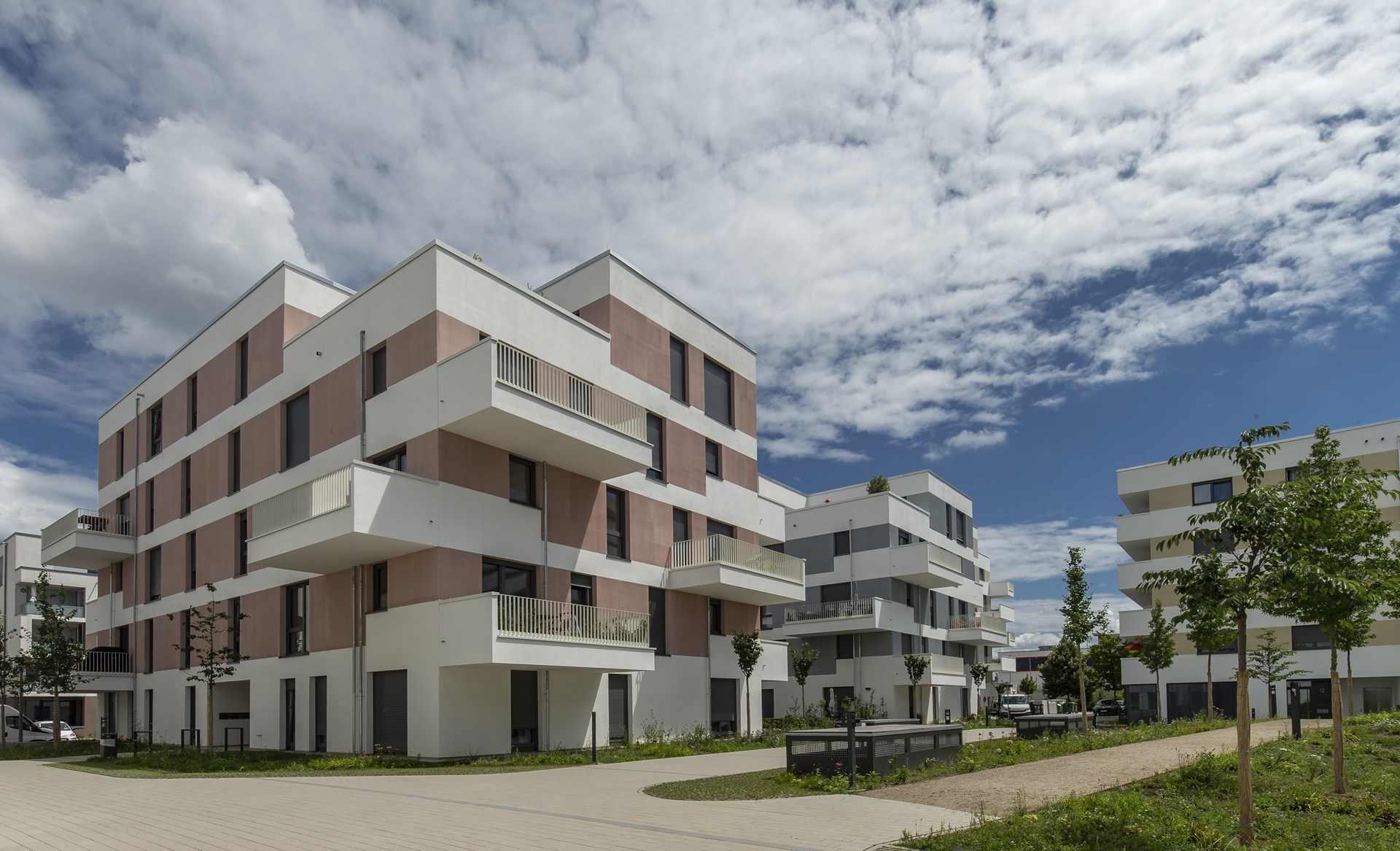 _DX_0599 Kopie-min.jpg