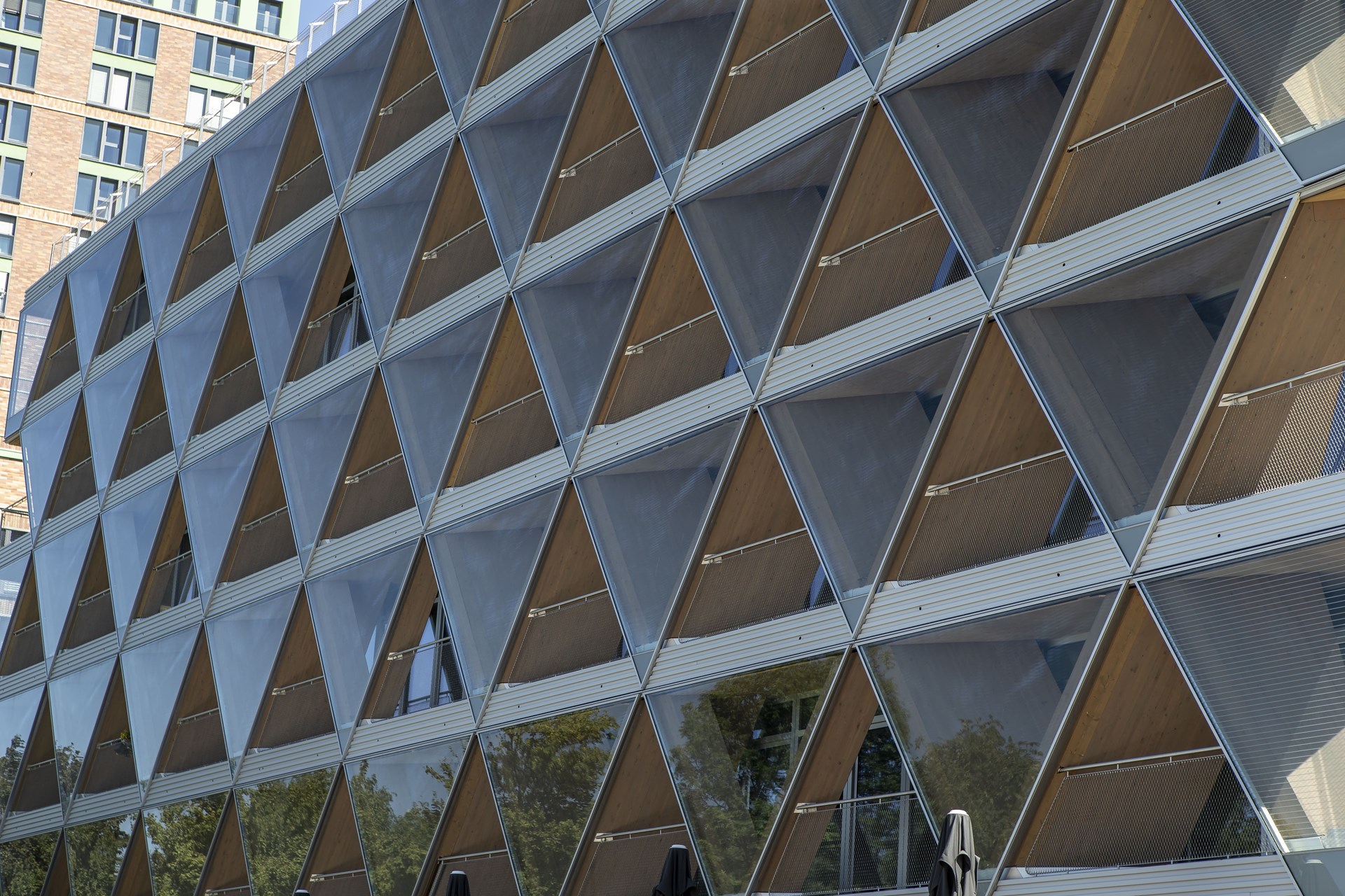 _DX_1438-min (1).jpg