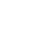 image-icon-WICSTYLE65NNG