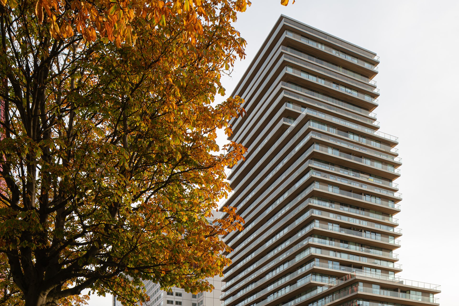 ©egbertdeboer.com HR20221028-09606.jpg