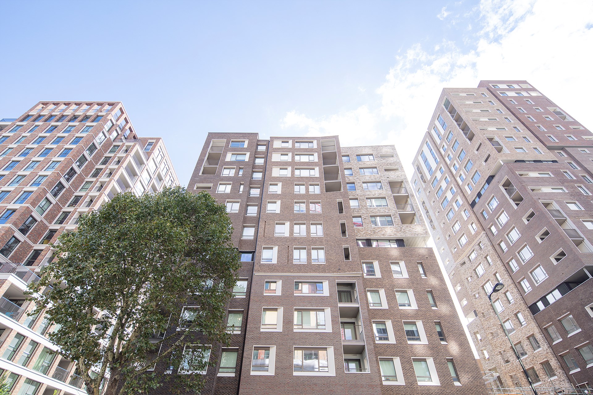 Elephant Park 051.jpg